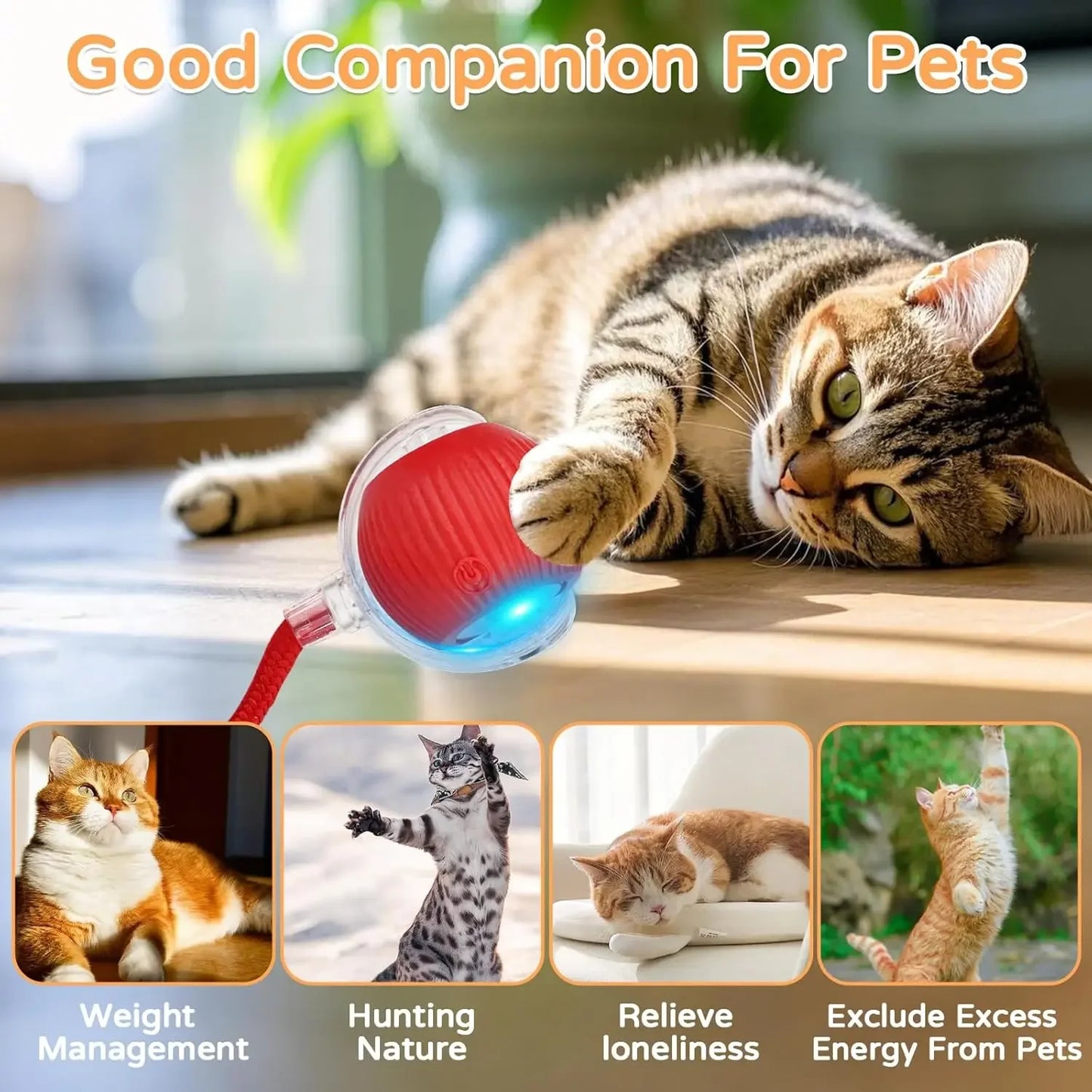 Dog Cat Interactive Ball Toy Automatic