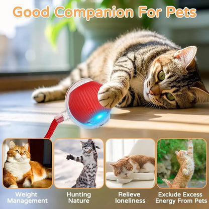 Dog Cat Interactive Ball Toy Automatic